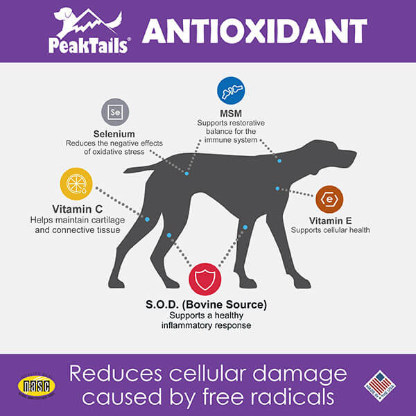 PeakTails Daily Defense Antioxidant Supplement for Dogs – Superoxide Dismutase, MSM, Selenium, Vitamin C & E – Supports Immune Function & Cellular Protection - Image 5