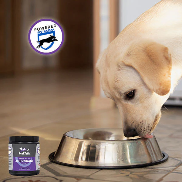 PeakTails Daily Defense Antioxidant Supplement for Dogs – Superoxide Dismutase, MSM, Selenium, Vitamin C & E – Supports Immune Function & Cellular Protection - Image 6