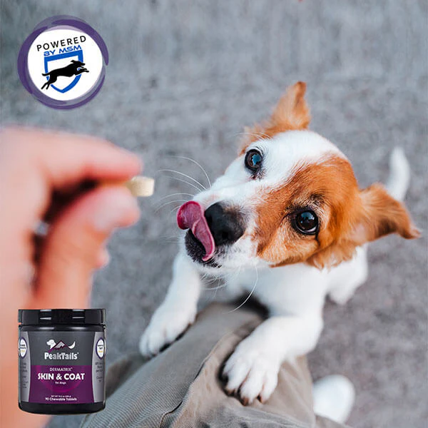 PeakTails Skin & Coat Support for Dogs – MSM, Fish Oil, Omega-3 & Omega-6 – Supports Healthy Skin & Shiny Coat - Image 10