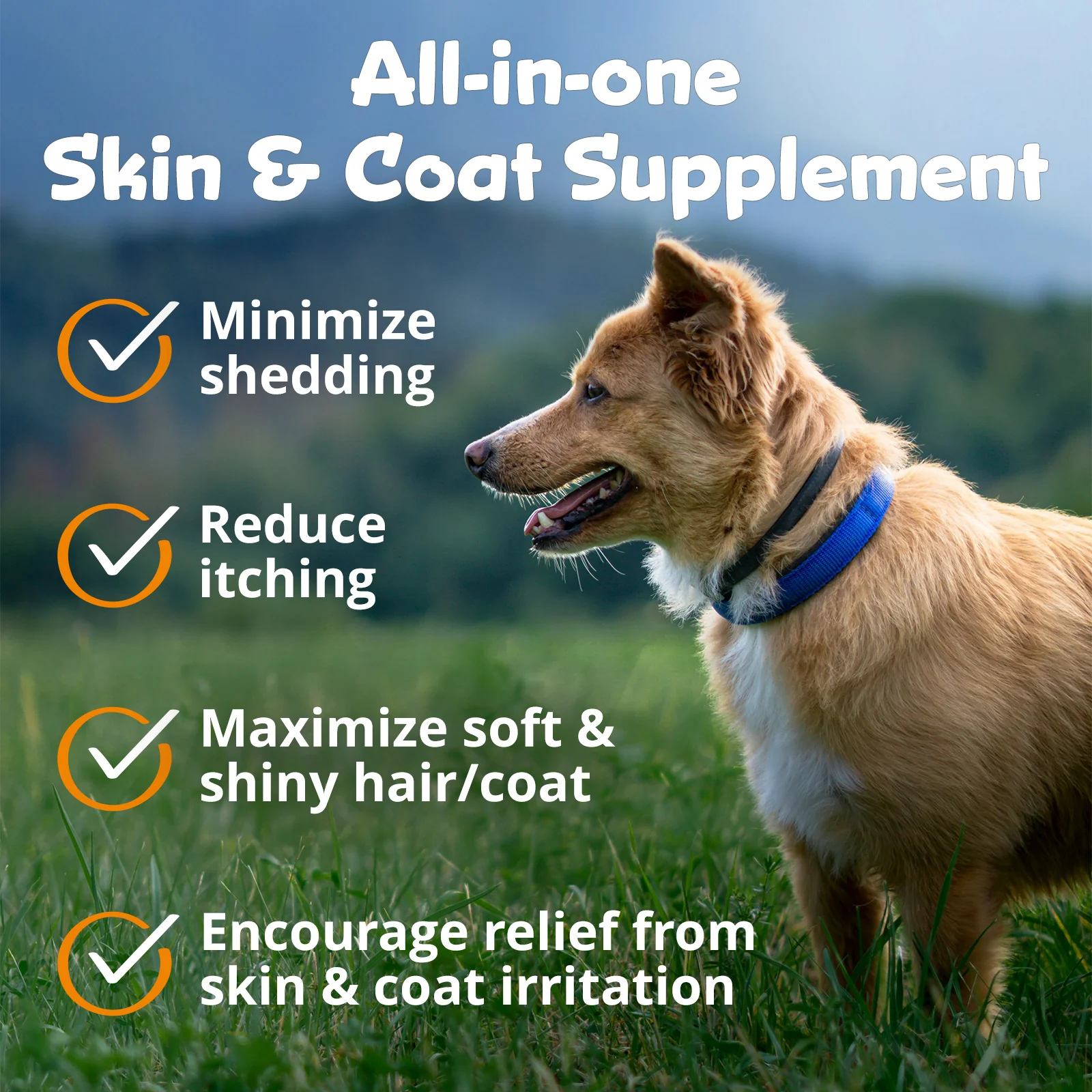PeakTails Skin & Coat Support for Dogs – MSM, Fish Oil, Omega-3 & Omega-6 – Supports Healthy Skin & Shiny Coat - Image 5
