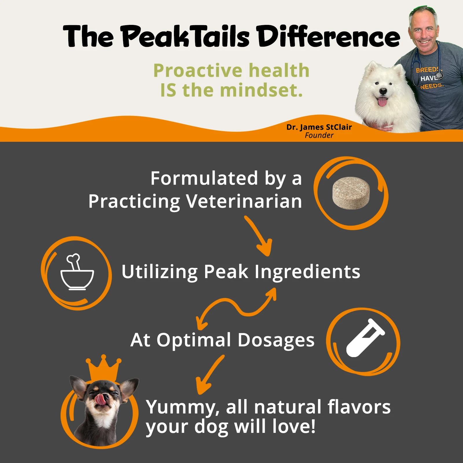 PeakTails Skin & Coat Support for Dogs – MSM, Fish Oil, Omega-3 & Omega-6 – Supports Healthy Skin & Shiny Coat - Image 6
